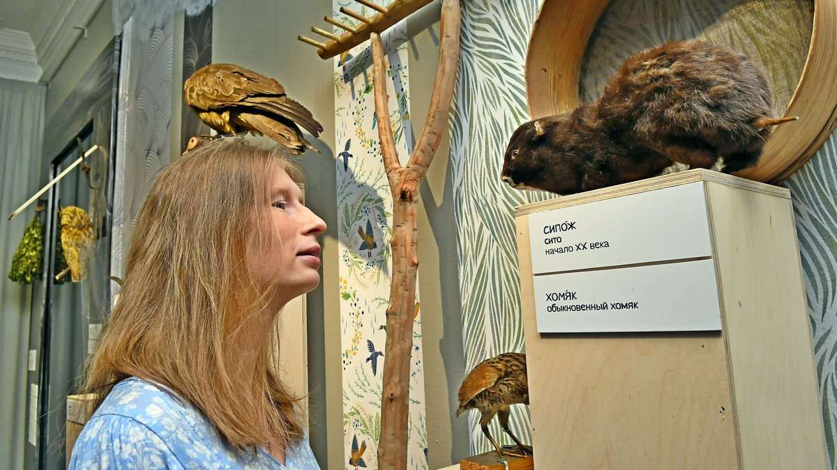 Коми-пермяцкий леший поселился в музее