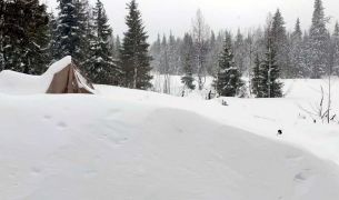 В Прикамье в заповеднике «Вишерский» снежный покров достиг 140 сантиметров 