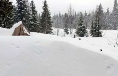 В Прикамье в заповеднике «Вишерский» снежный покров достиг 140 сантиметров 
