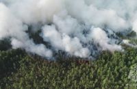 В Прикамье камеры будут следить за пожарной обстановкой на 4,2 млн гектарах леса 