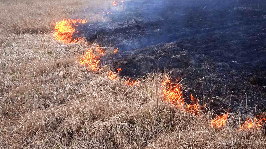 ГУ МЧС предупреждает о высокой пожароопасности на юге Прикамья