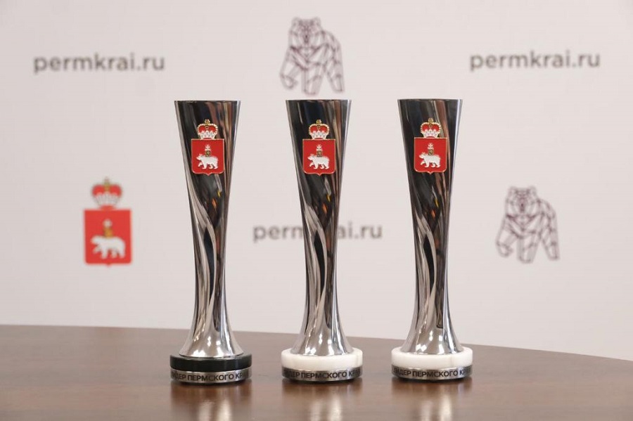 В региональном конкурсе «Лидер Пермского края» открыты дополнительные номинации