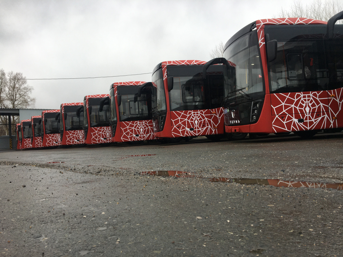 В Перми в 2024 году запустят новые автобусные маршруты 