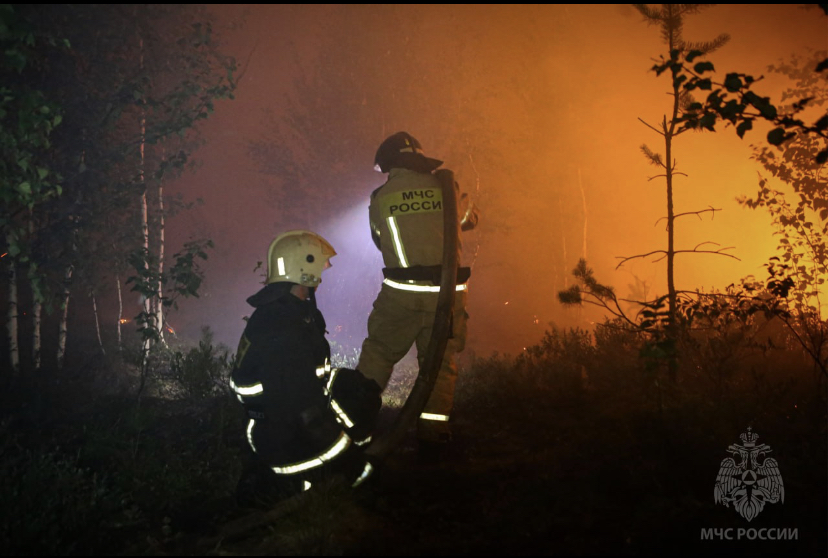 В Краснокамском округе Прикамья ликвидирован крупный лесной пожар 