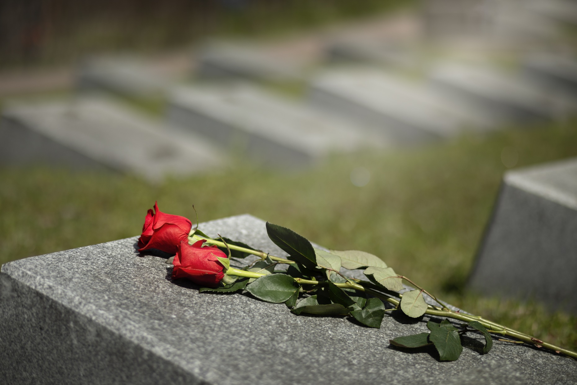В Перми Китайское кладбище станет объектом культурного наследия 