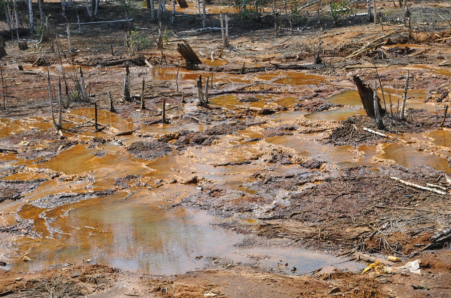 Учёные ищут решение проблемы отравления окружающей среды в Кизеловском угольном бассейне