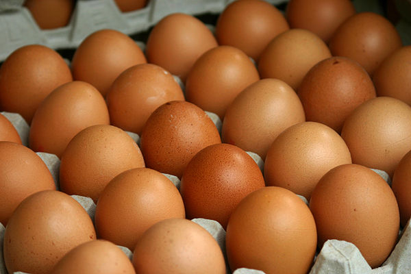В Прикамье уничтожают потенциально опасную партию яиц
