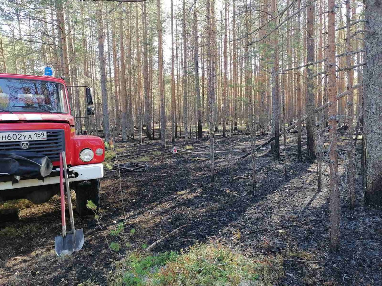 В Прикамье за пожароопасный сезон были потушены 193 лесных пожара