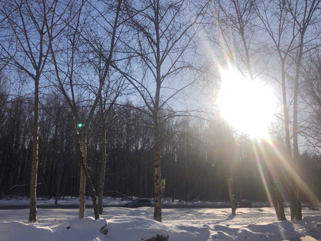 В Прикамье в первый день весны придет оттепель до +2 градусов 