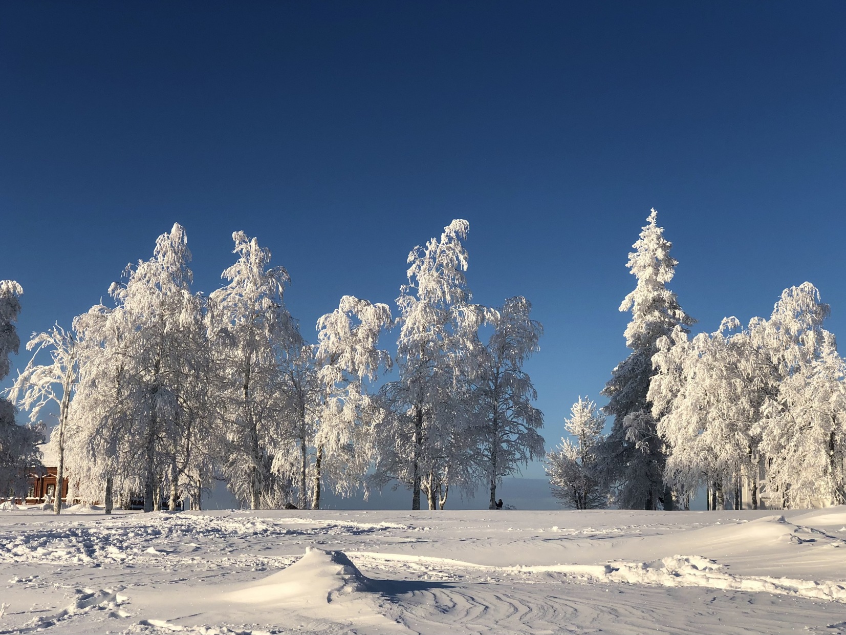 В Пермском крае на Рождество похолодает до -35 градусов 