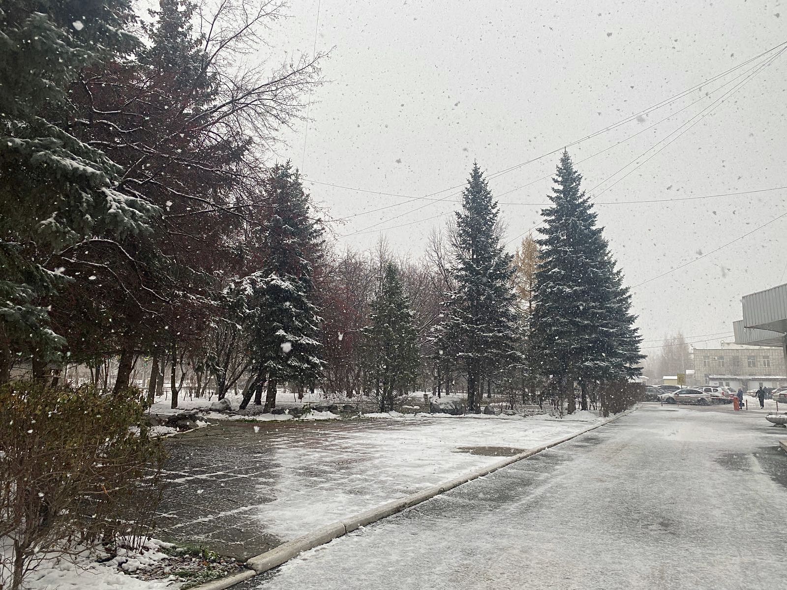 В Пермском крае ожидается снегопад и сильный ветер с порывами до 20 м/с