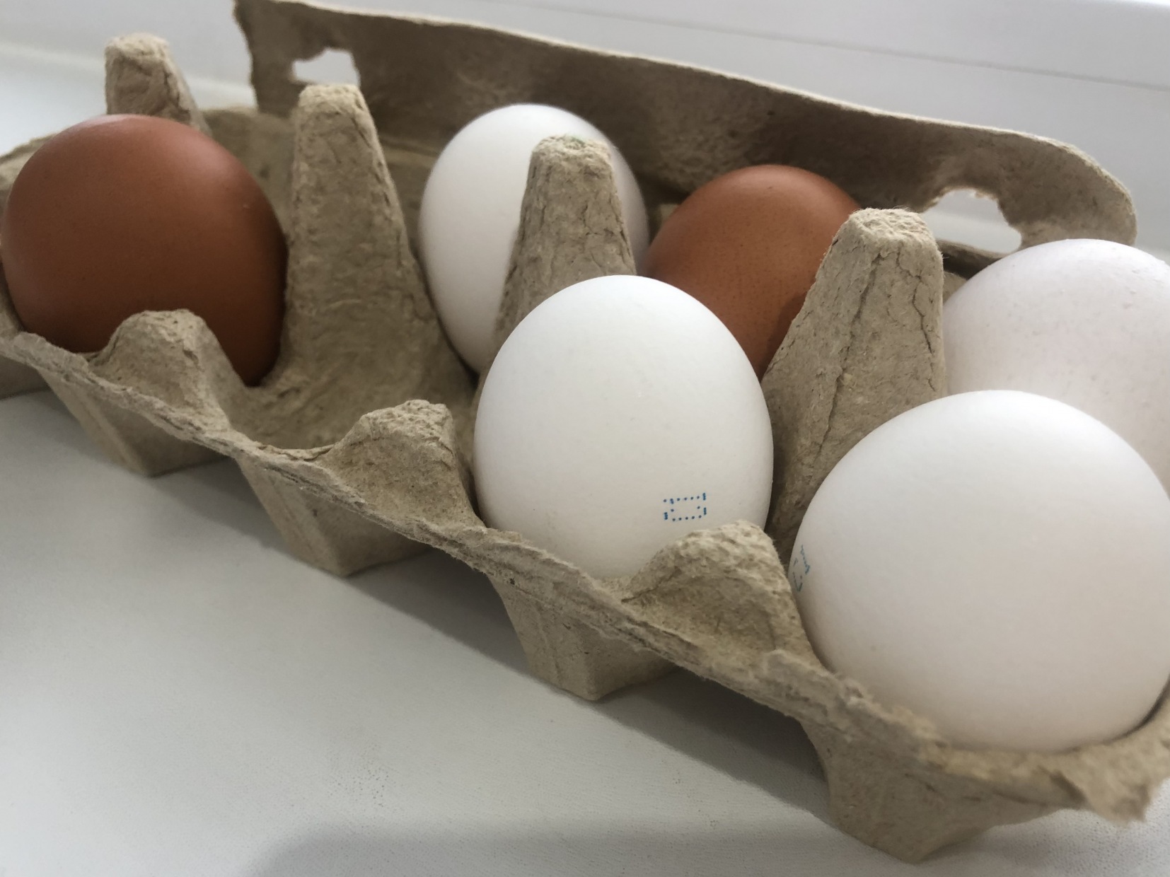 В Прикамье обеспеченность куриным яйцом превышает 200%