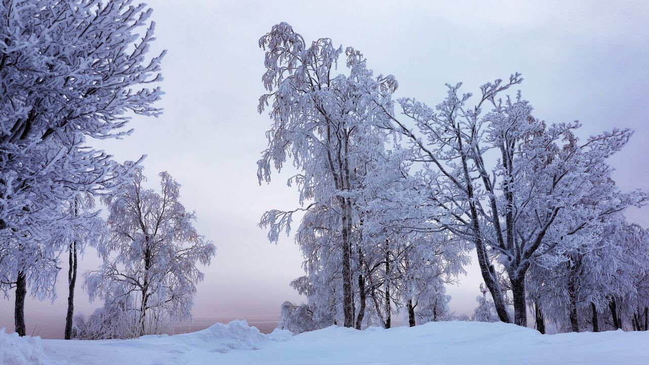 В Прикамье зона экстремального холода сместилась к востоку и центру региона