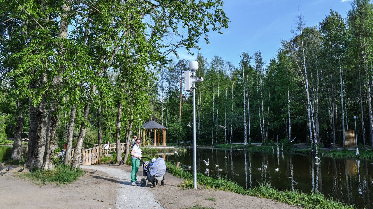 11 мест отдыха и четыре экотропы обновят в Перми за два года 