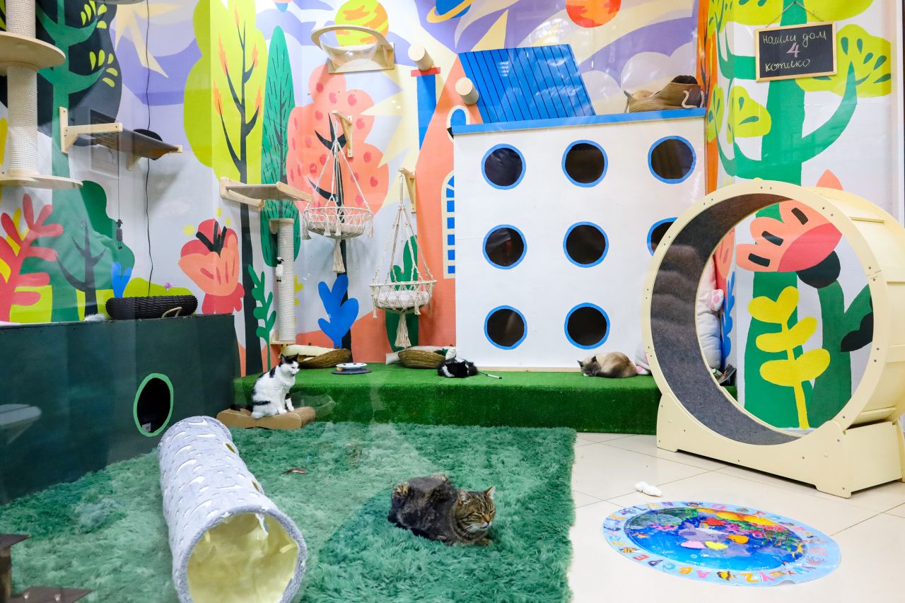 Фото: Елена Майорова