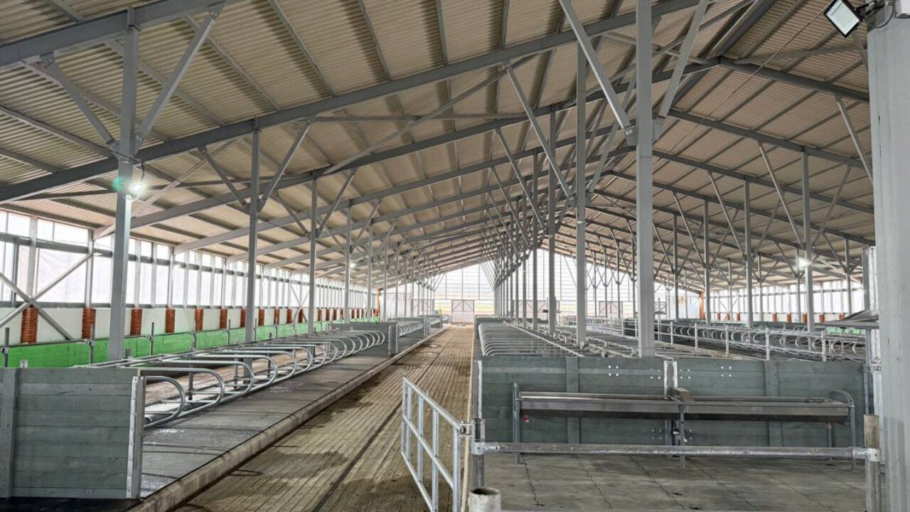 ​В Частинском округе открылась модернизированная молочная ферма