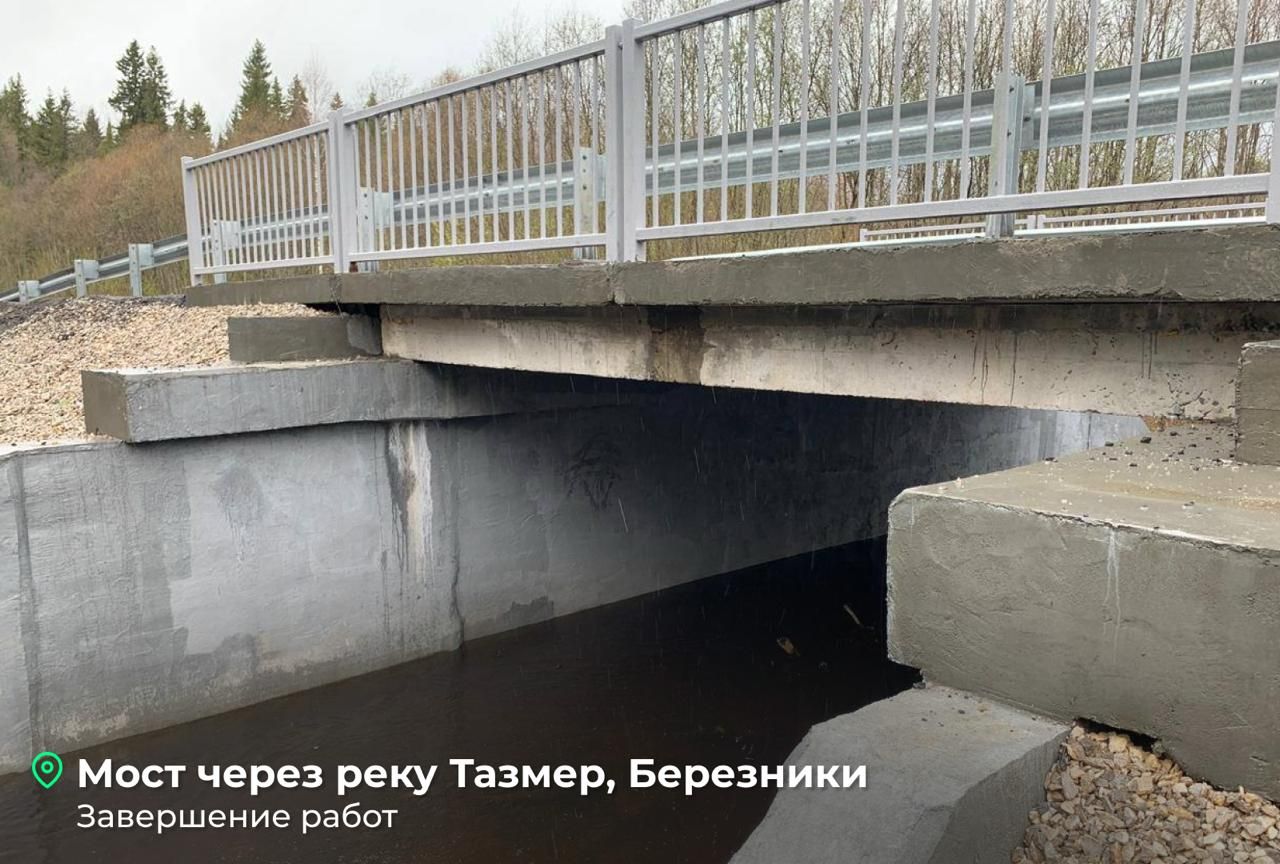 Фото: Telegram-канал Дмитрия Махонина