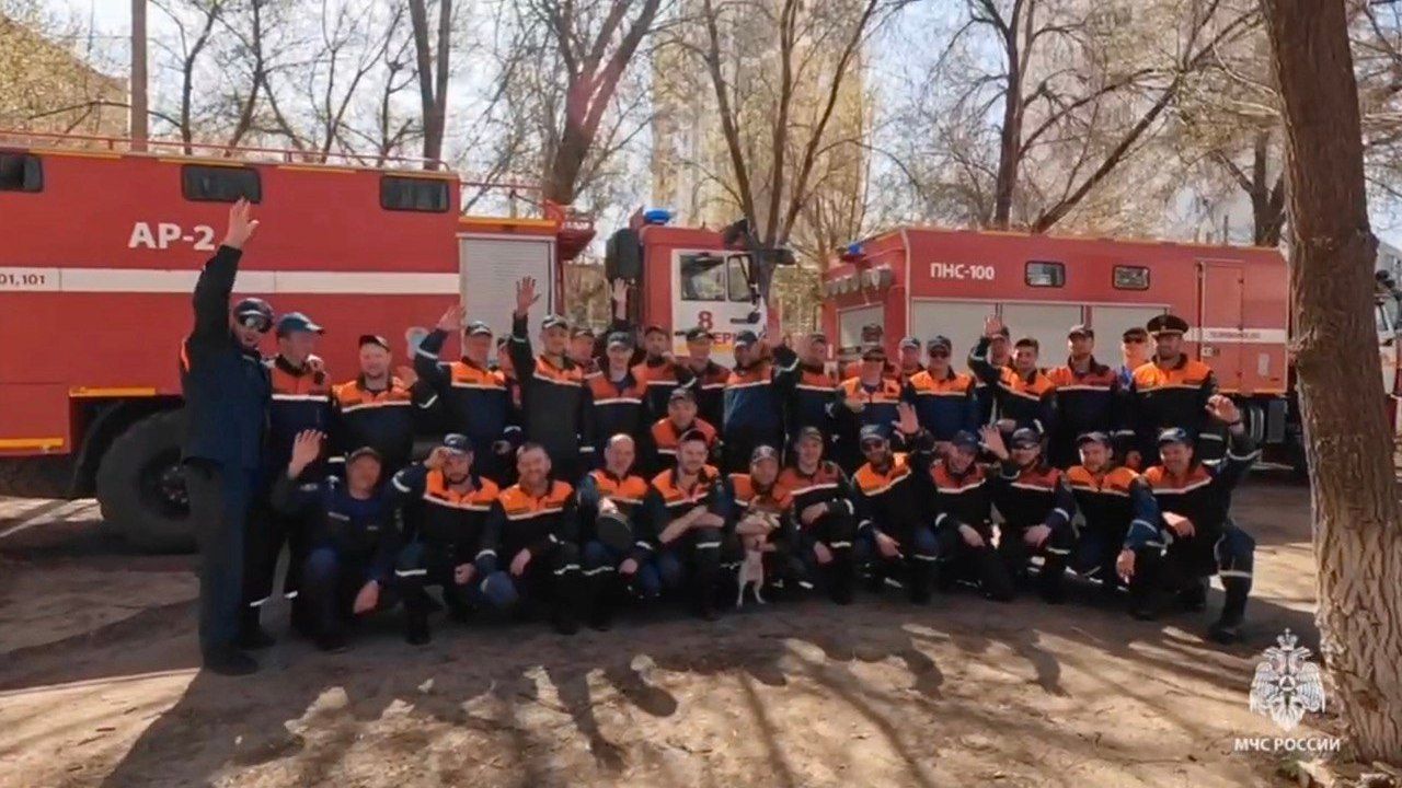 Сотрудники МЧС Прикамья спасли в затопленном Орске 511 человек и 140 животных 