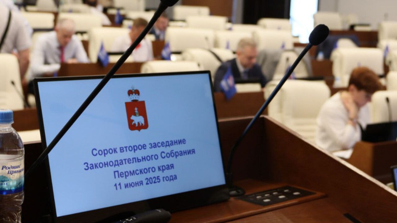 В Пермском крае принят закон о специальном обучении детей-инвалидов 
