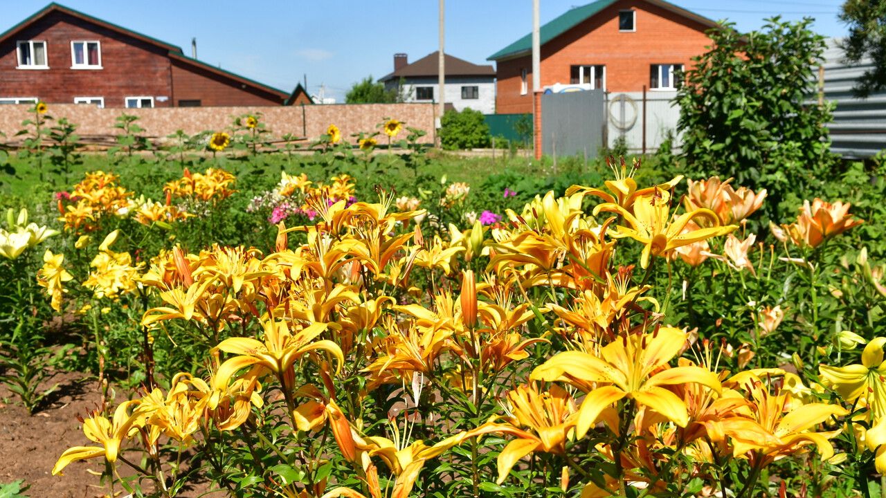 Что нужно знать прикамским садоводам о возможностях газификации домов в СНТ