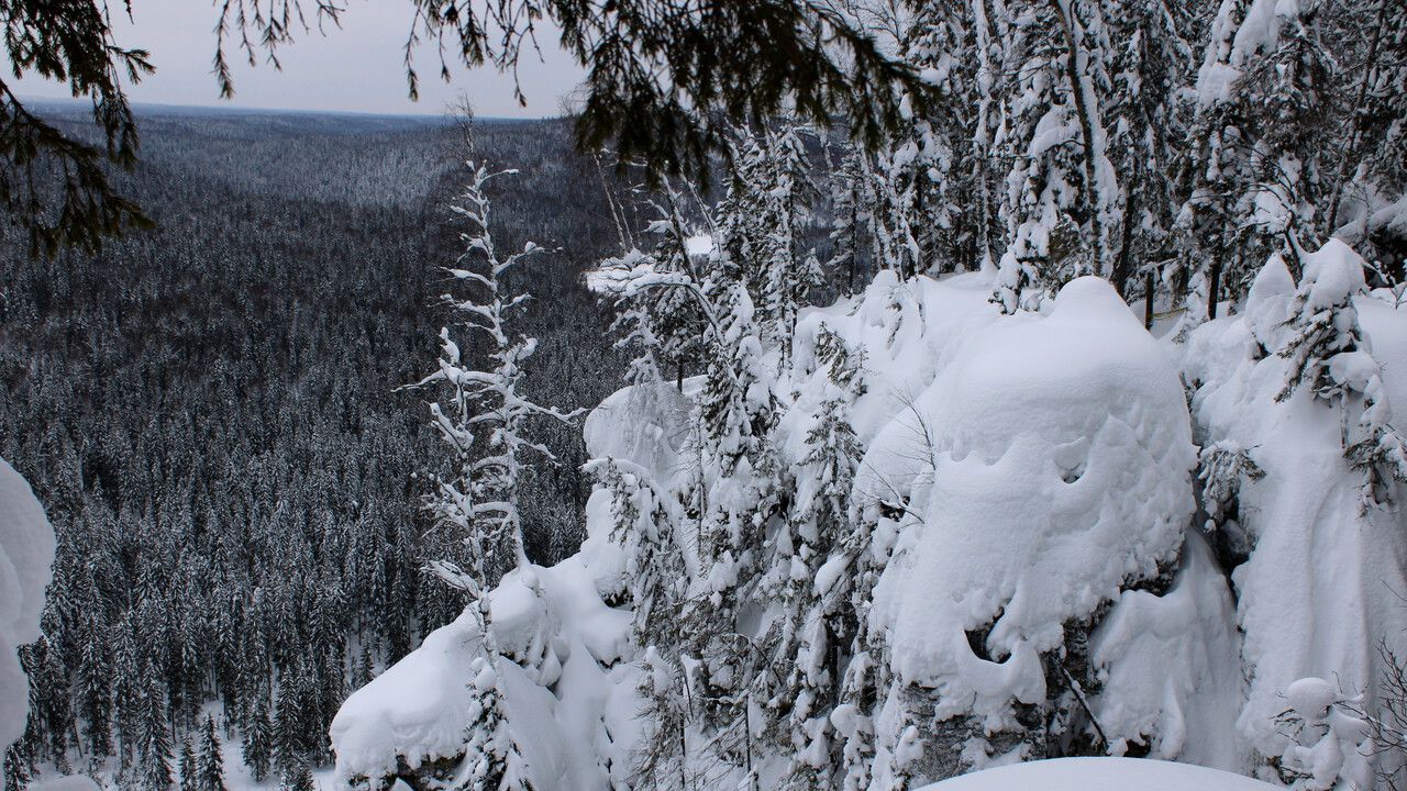 Первая неделя февраля в Прикамье будет сопровождаться снегопадами и кратковременными морозами