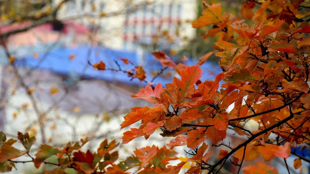 ​В Пермском крае эта неделя будет аномально теплой, но к выходным похолодает