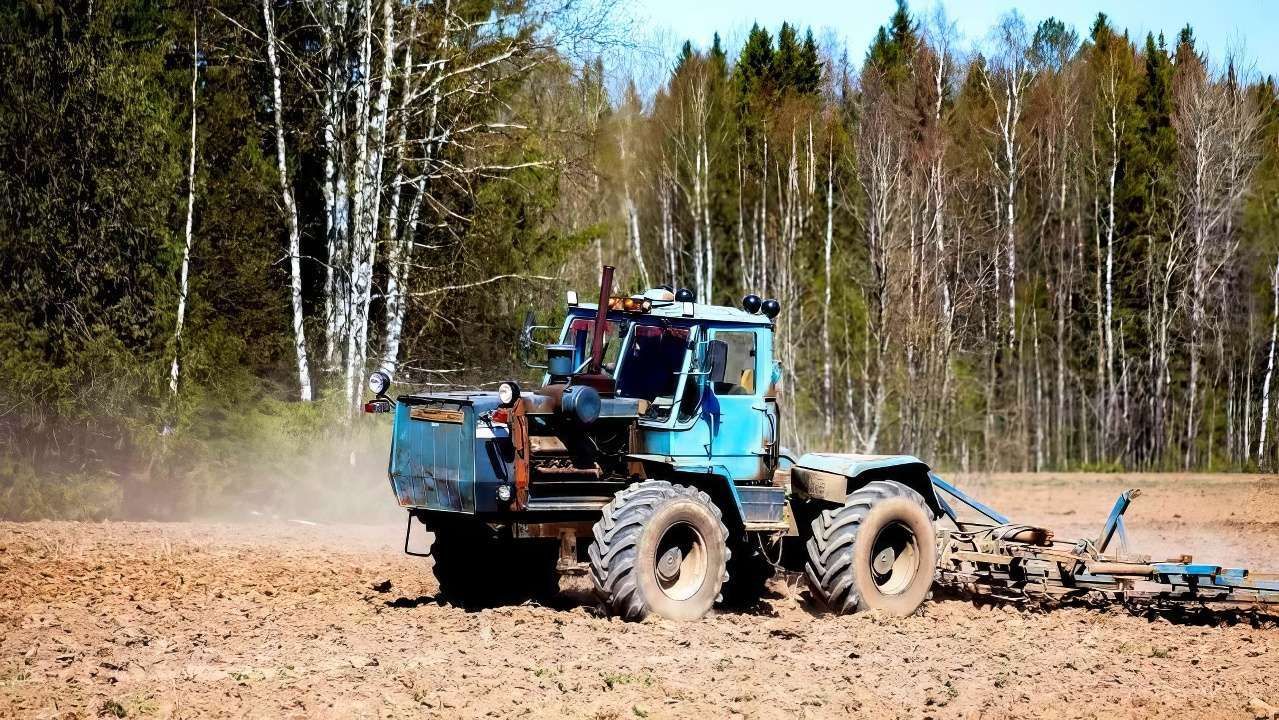 ​Сельхозтоваропроизводители Прикамья смогут воспользоваться новыми мерами поддержки