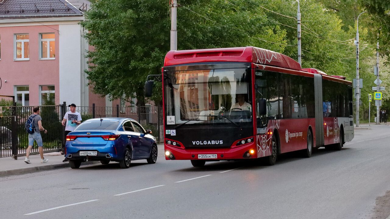 А я катаюсь на гармошке. Маршрутную сеть автобусов краевой столицы существенно изменят
