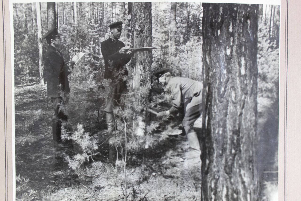 Лесообъездчик Верхне-Курьинского лесничества, 1955 год. Фото: пресс-служба минприроды Пермского края