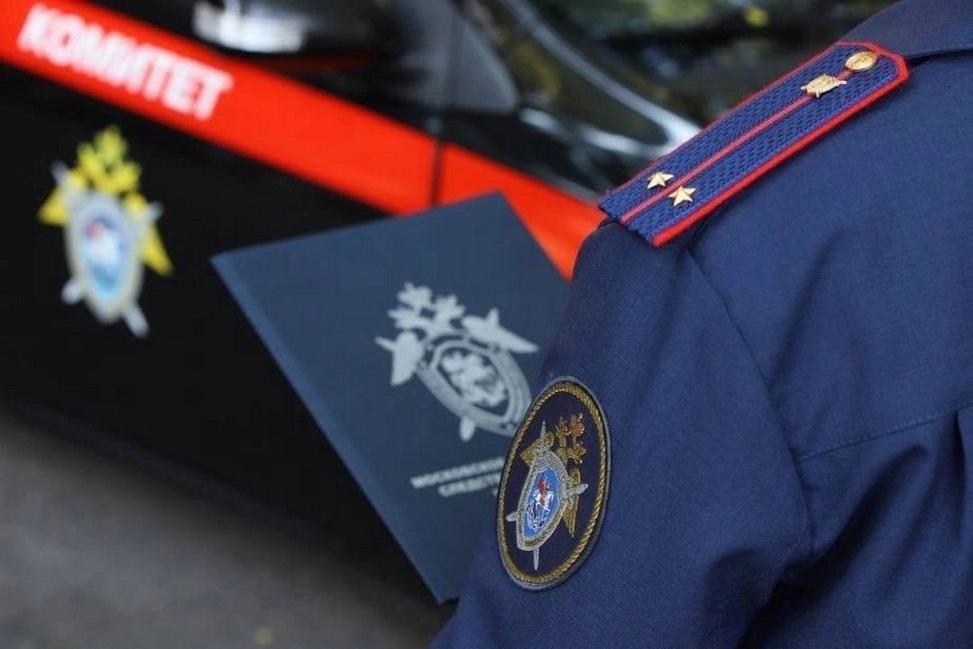 ​В Лысьве на пожилую женщину напала собака