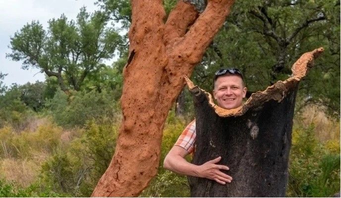 Павел Дурновцев: пробковые материалы – фундамент для профессиональной тепло- и звукоизоляции