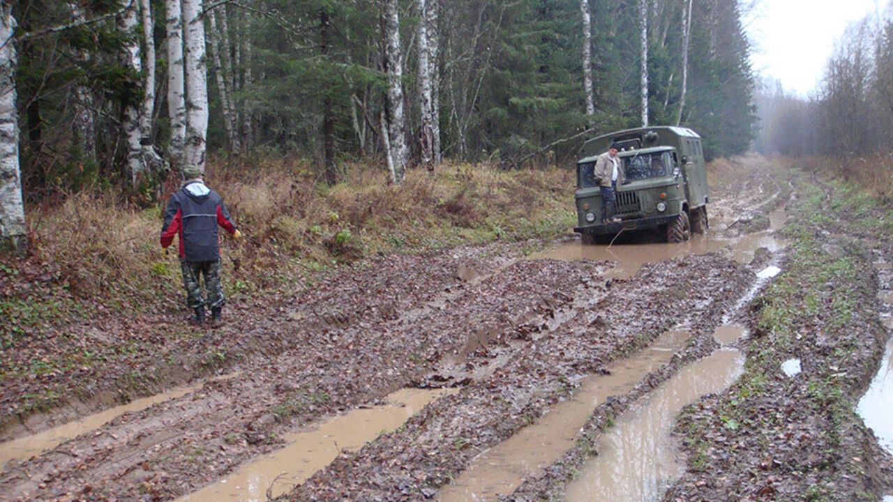 Сейчас тракт заброшен, но по нему совершают путешествия на автомобилях, мотоциклах, лошадях и даже велосипедах. Фото: РОД «Государева дорога («Бабиновская»)»