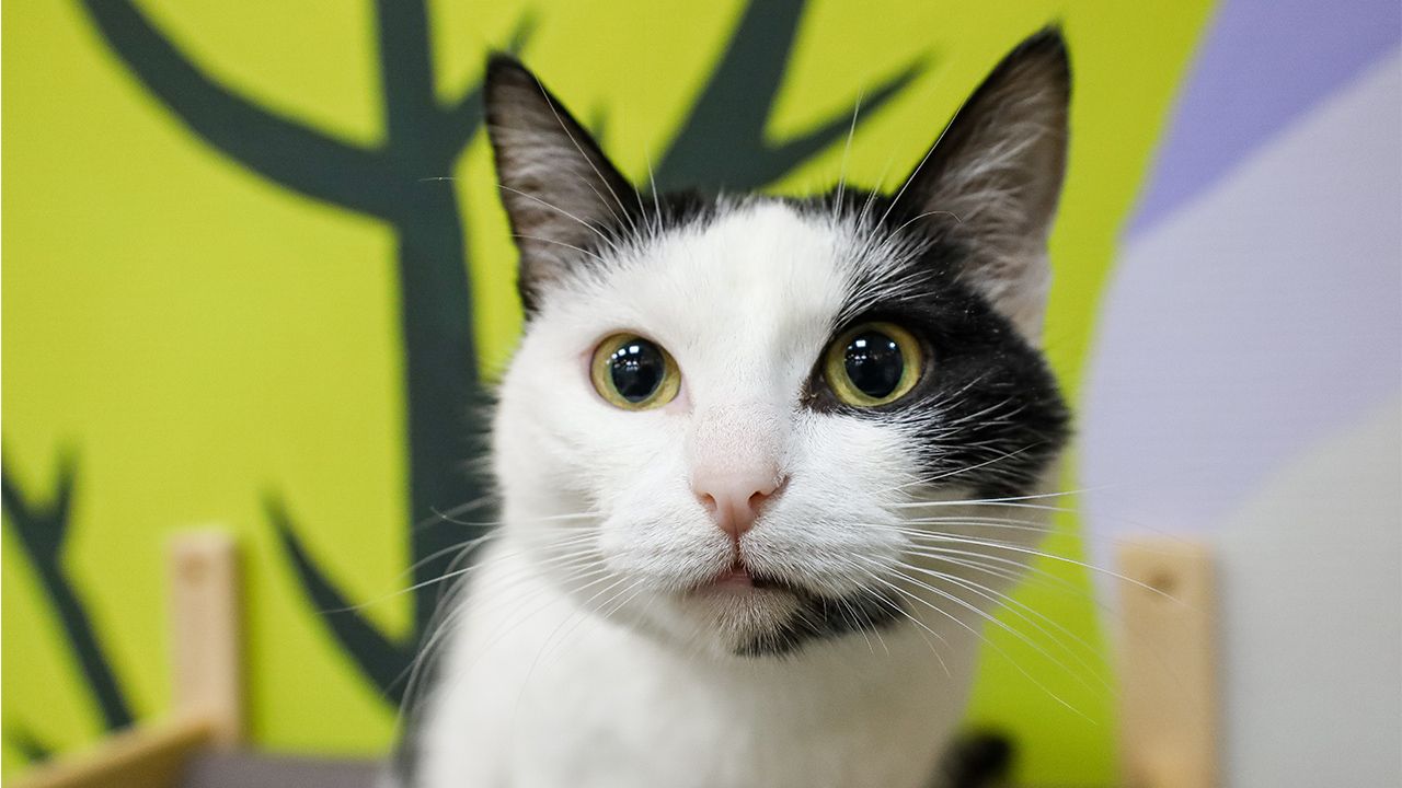 Фото: Елена Майорова