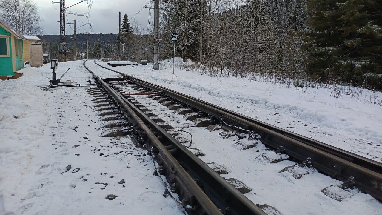 В Прикамье сошли с рельс несколько вагонов