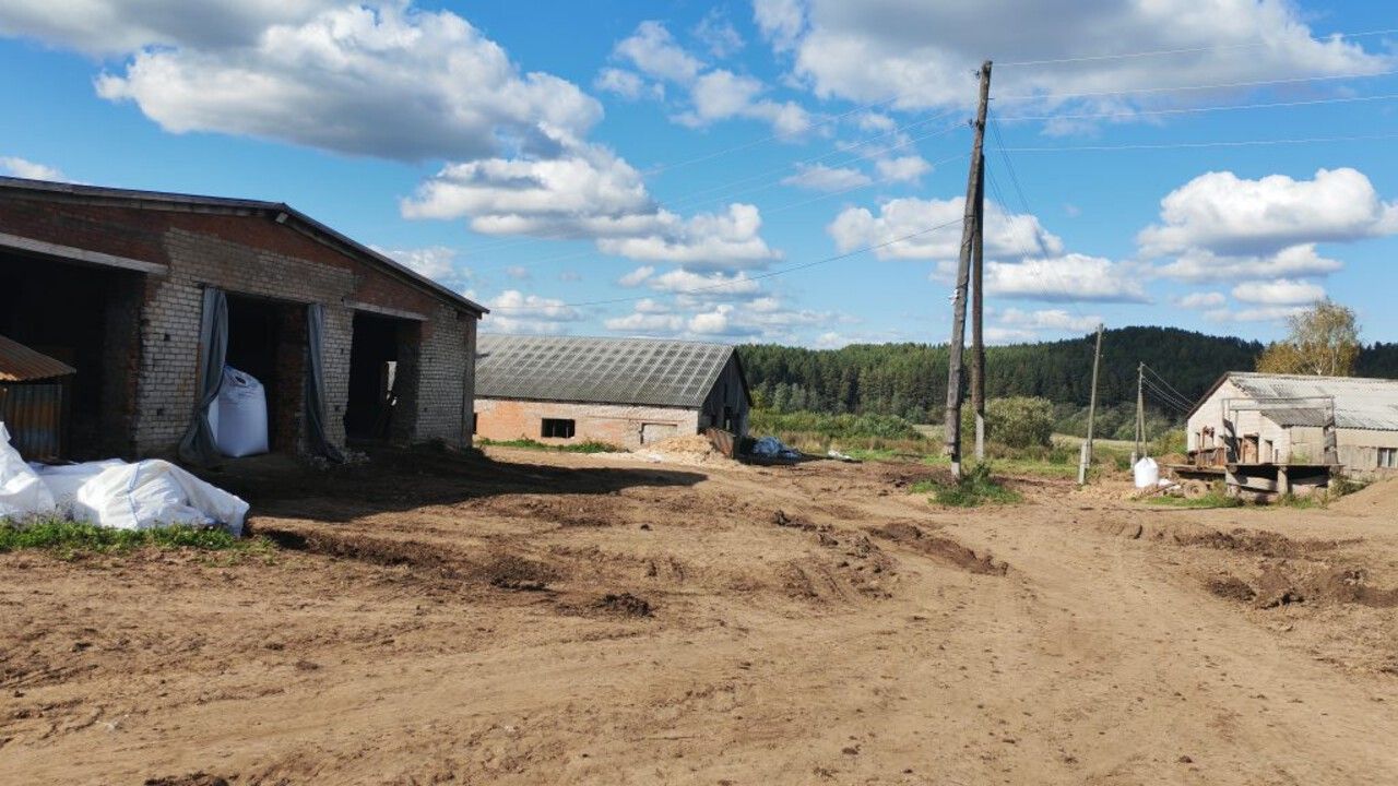 В Карагайском округе сельхозпредприятие оштрафовали за нарушения при содержании скота