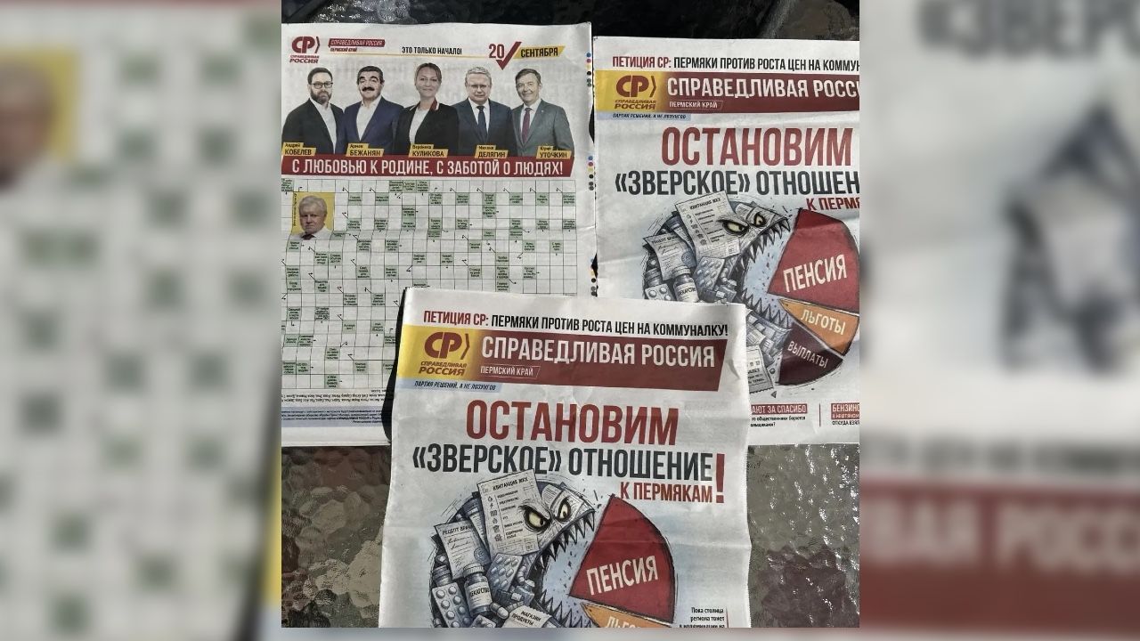Федеральные эксперты оценили агитационные материалы на прикамских выборах