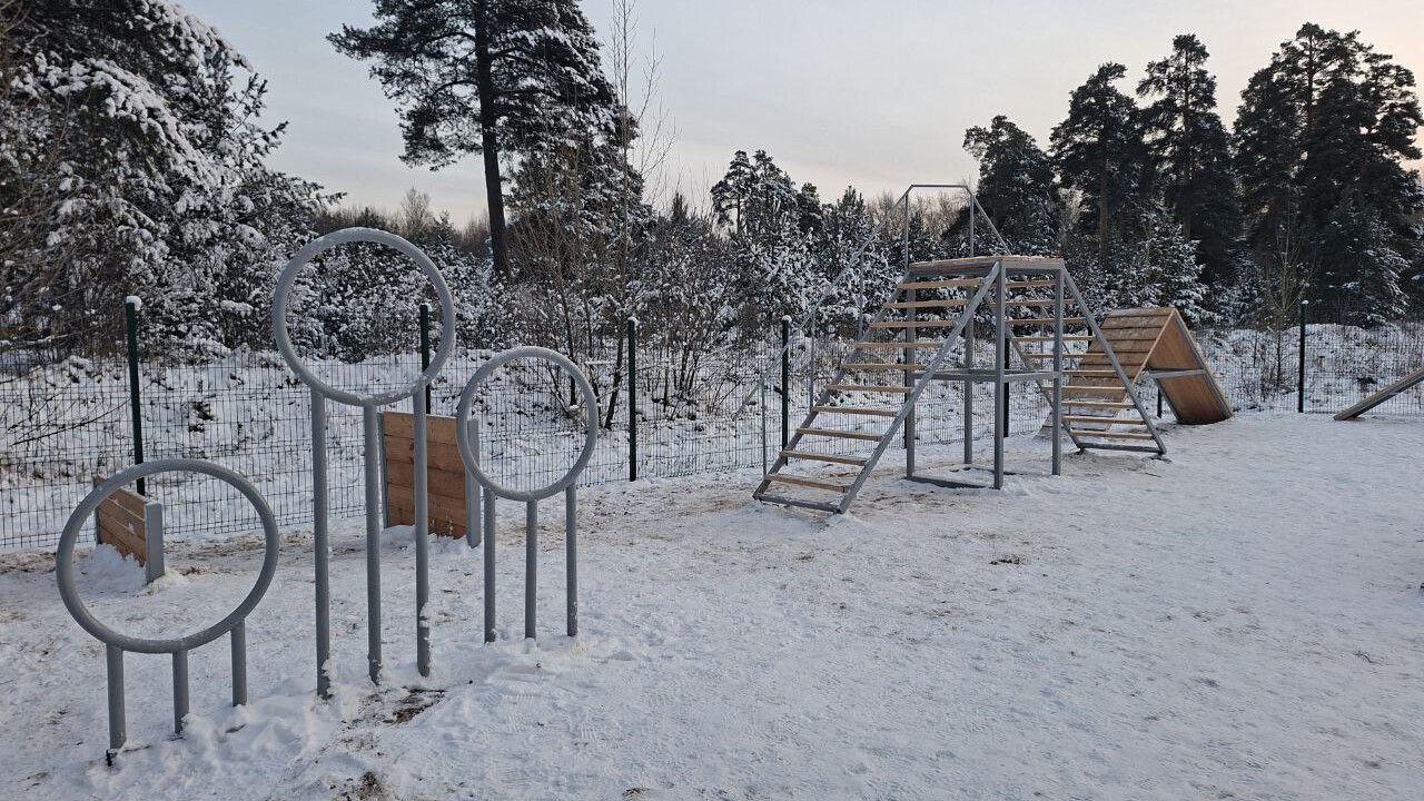 Новые площадки для выгула собак появились в двух районах Перми