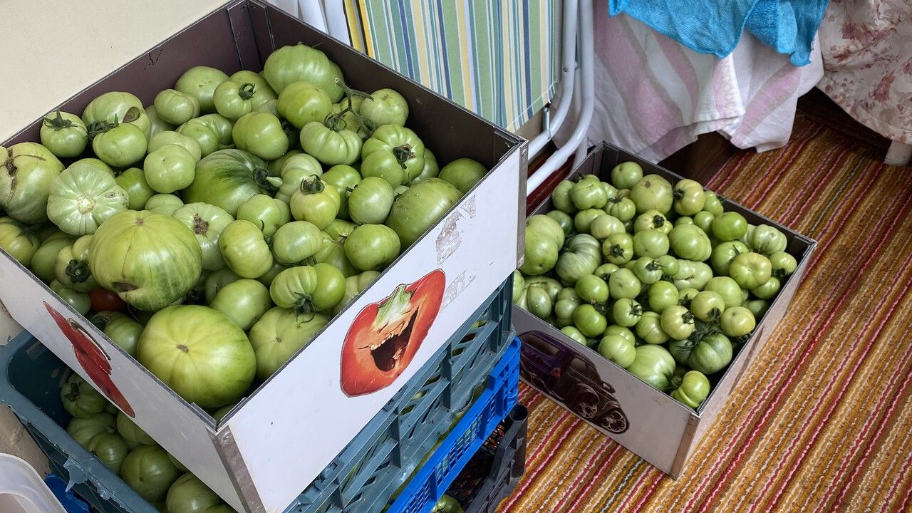 Как сохранить урожай, чтобы баловать себя своими овощами до весны