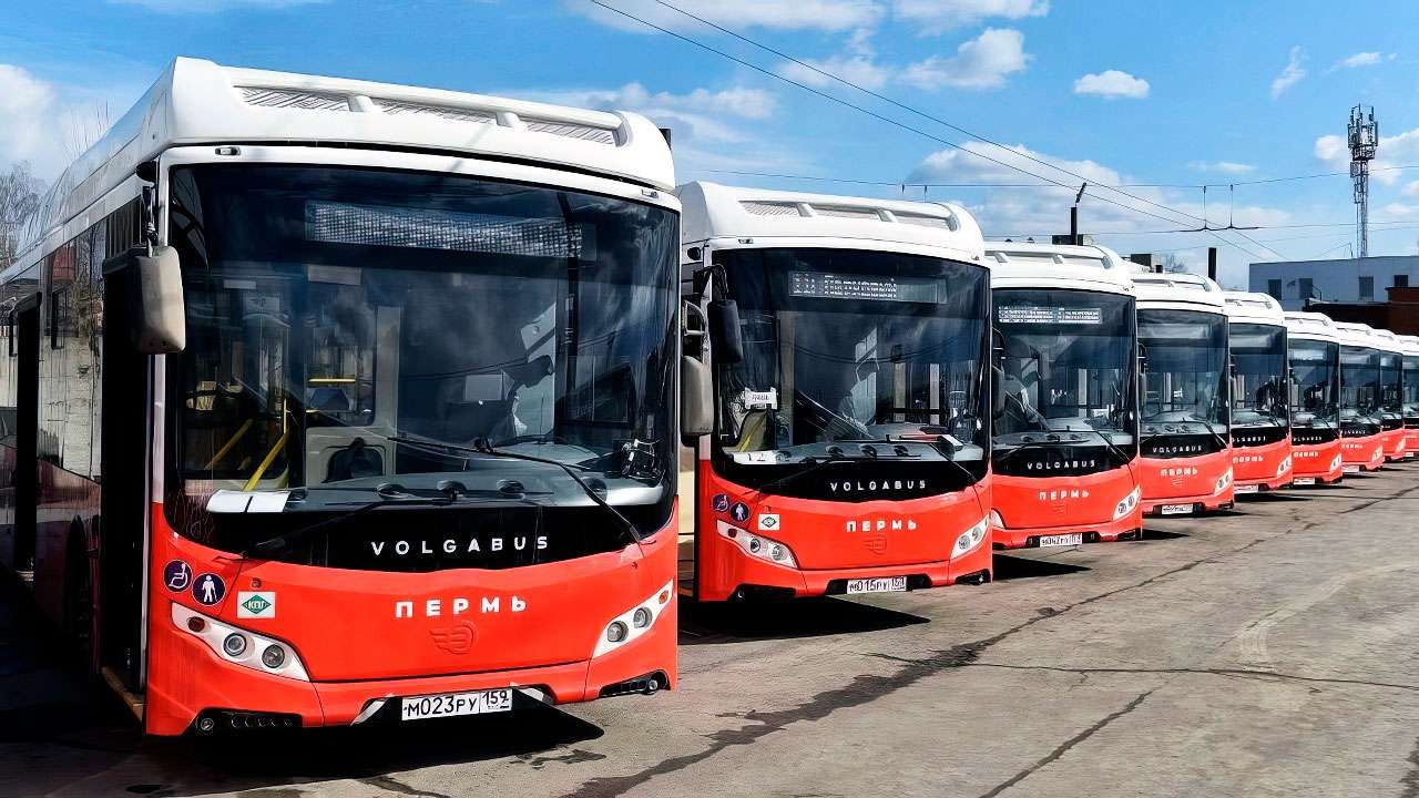 В Перми назвали самые проблемные автобусные маршруты 