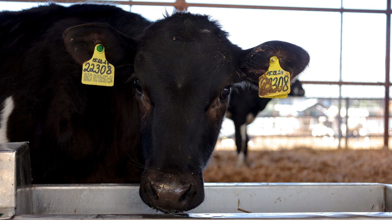 ​Аграрии Прикамья подвели итоги сезона