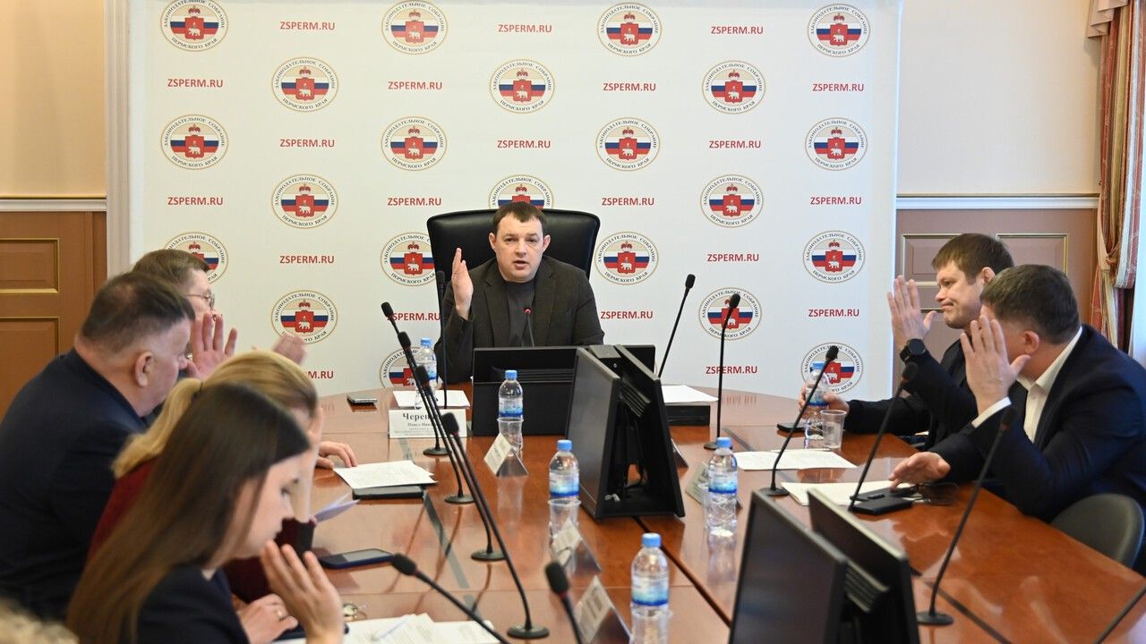 В Прикамье самозанятым таксистам разрешат ездить на иномарках