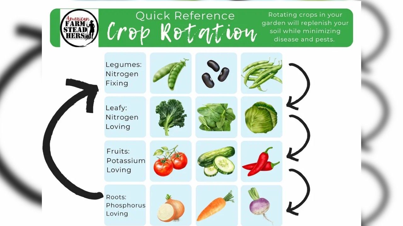Февраль - время планировать урожаи на даче