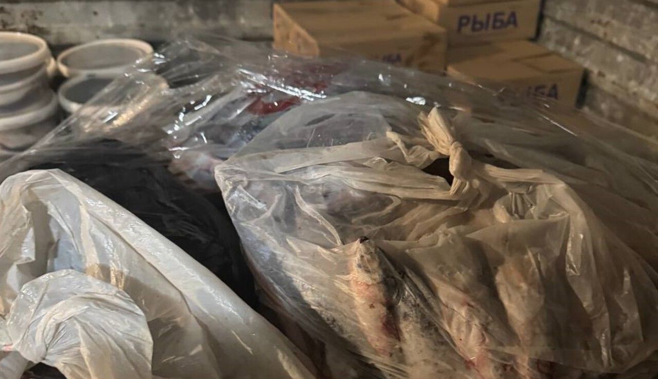 ​В Перми рыбопереработчик оштрафован за антисанитарию, просроченную продукцию и нарушения в учете сырья