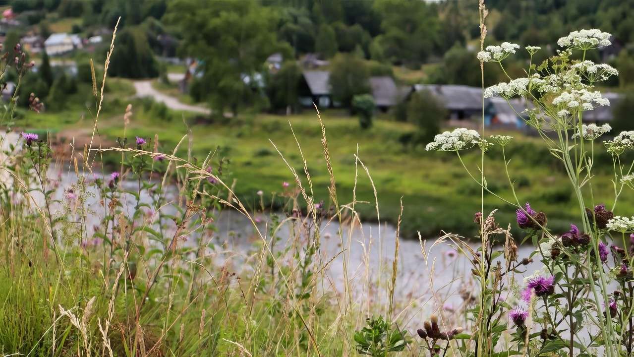 ​В Прикамье могут закрыть базу отдыха «Тишина» за нарушение закона