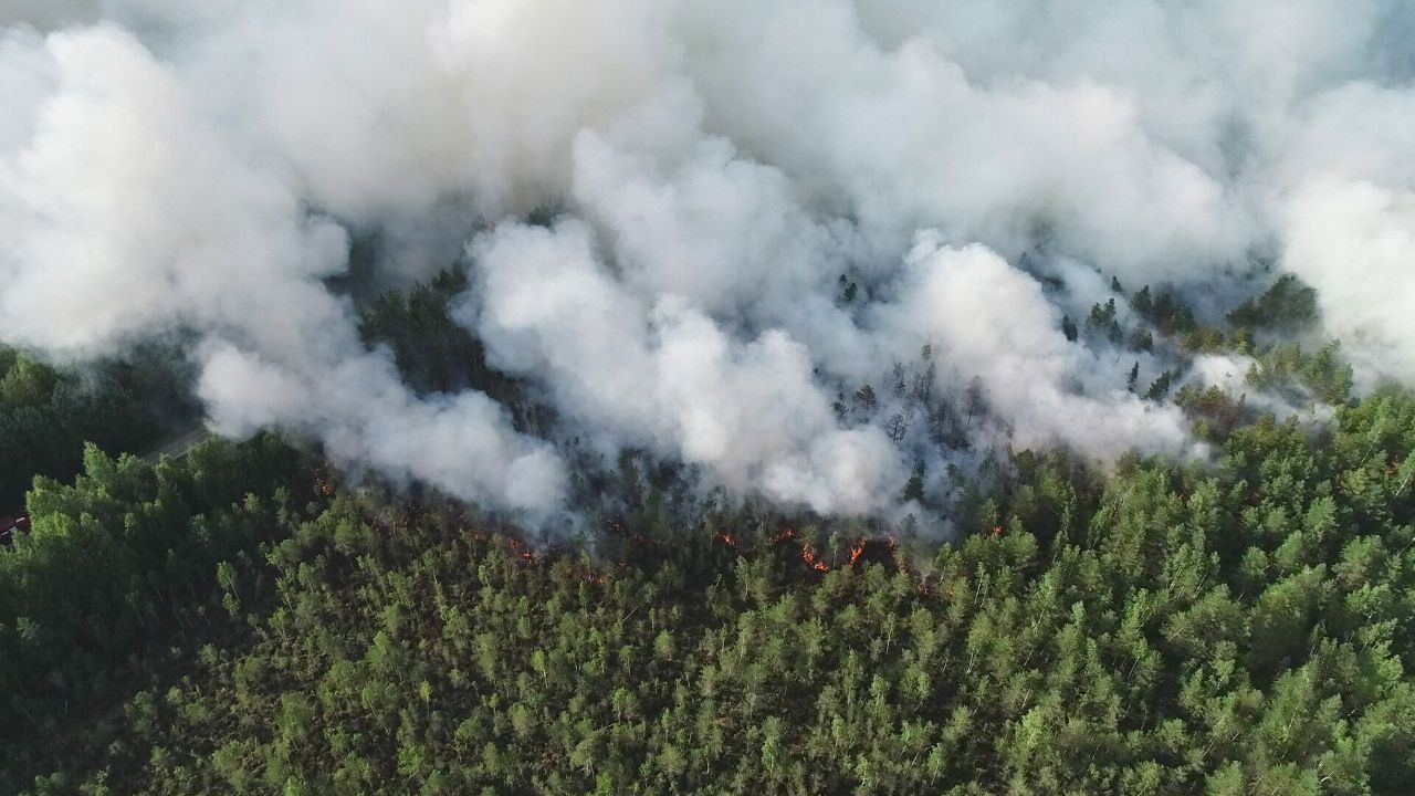 Более 90% лесных пожаров в Прикамье ликвидируют в течение суток