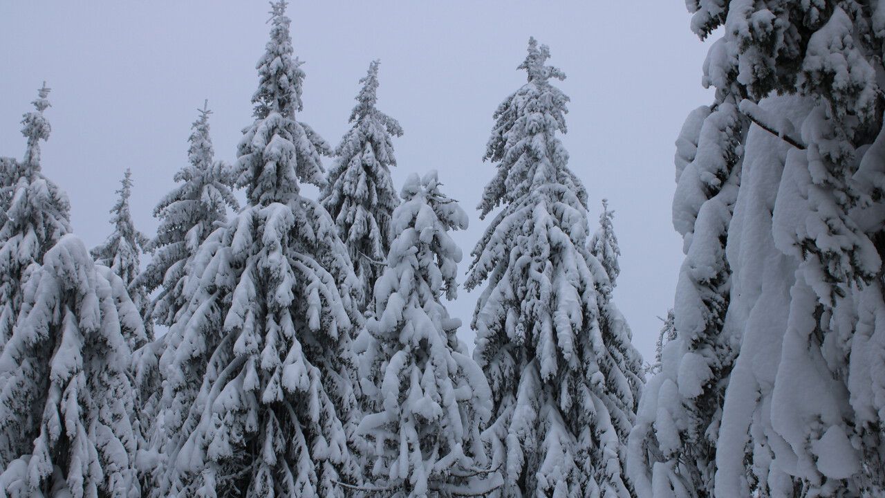 ​В Прикамье с 16 по 20 февраля погода будет динамичной, с чередованием циклонов и антициклонов