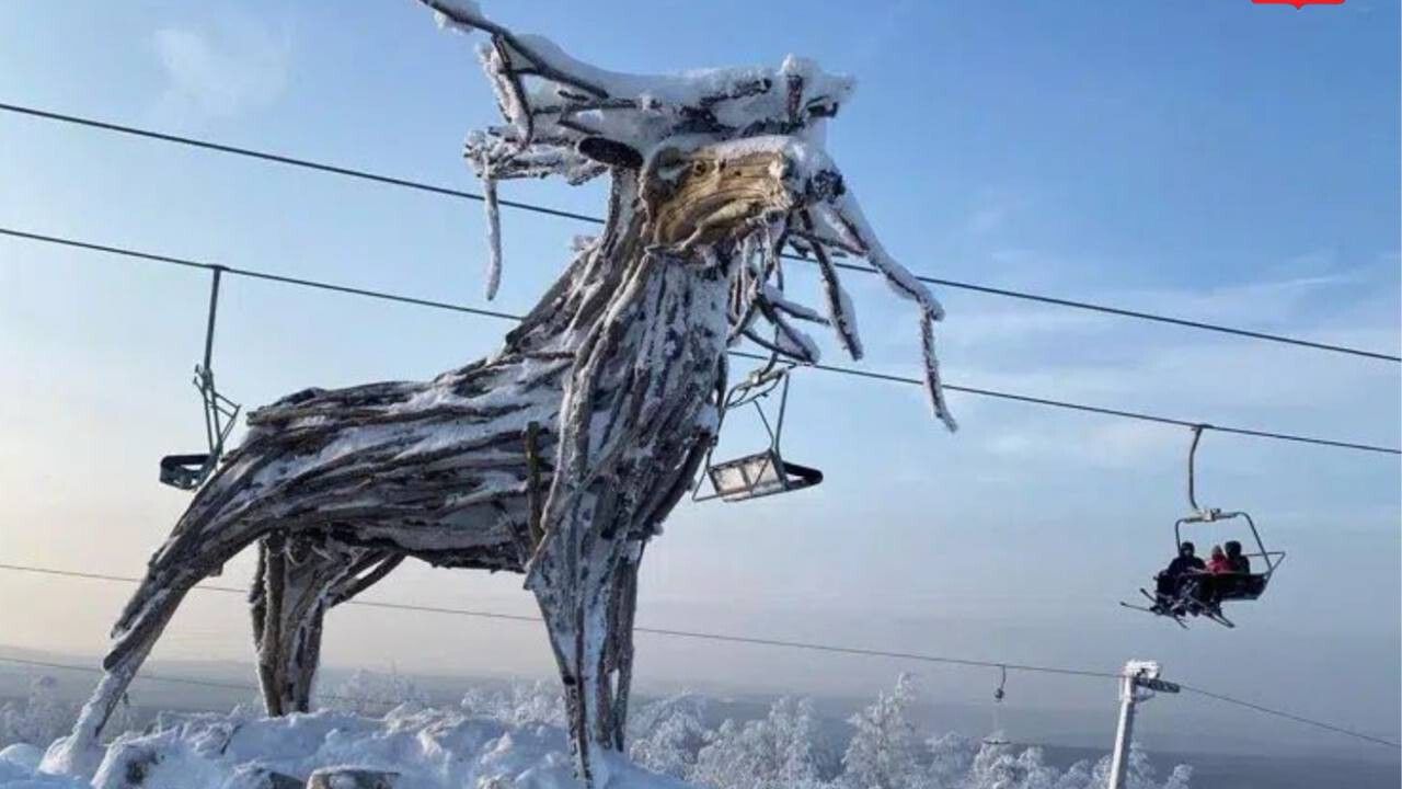 В Прикамье начали строительство инфраструктуры для комплекса «Губаха»