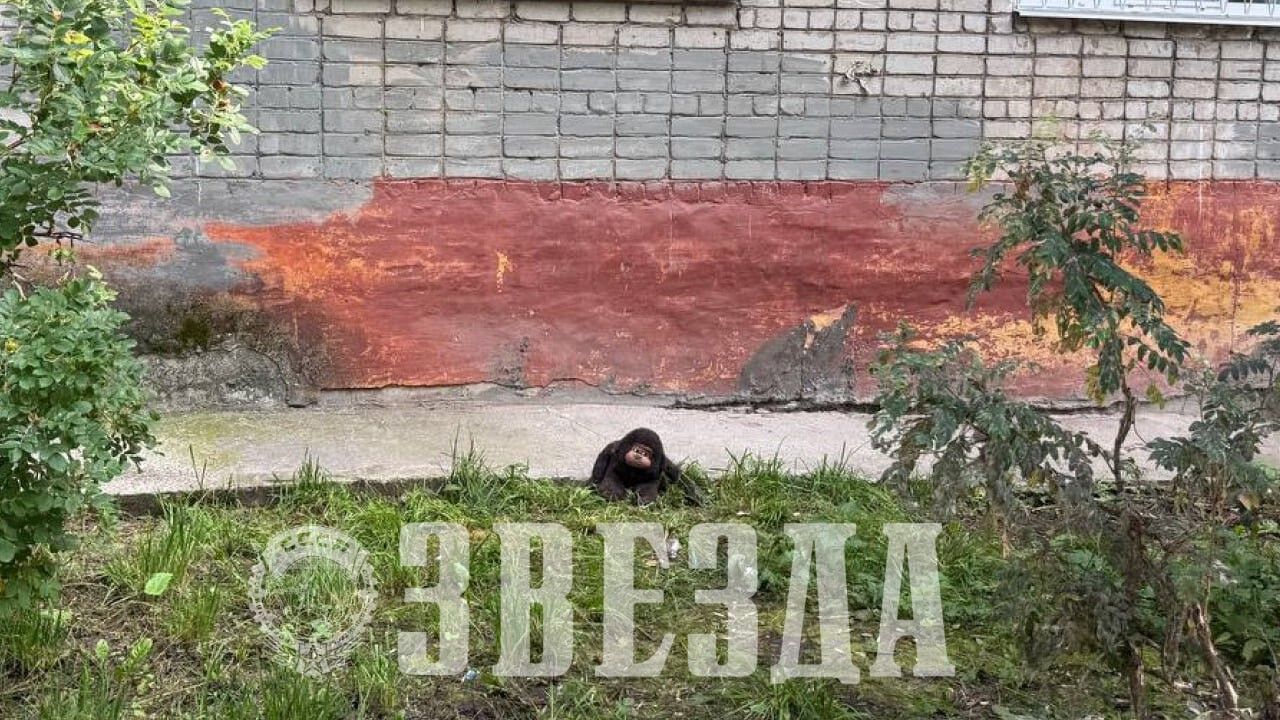 ​Очевидец ЧП в Березниках, где обнаружили тело новорожденной девочки, рассказал подробности