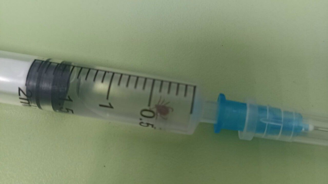 Фото: ветеринарная клиника «Друг»