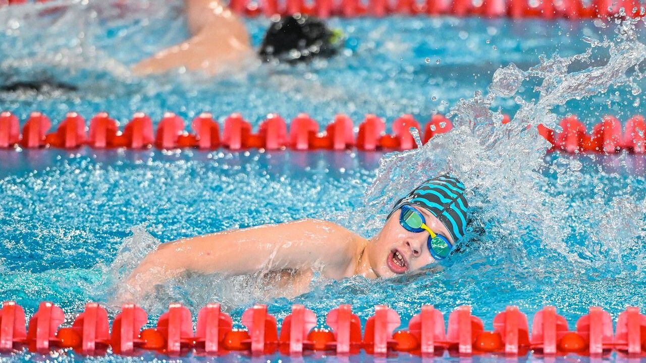 ​Столица Прикамья примет Первенство Пермского края по плаванию «Веселый дельфин»